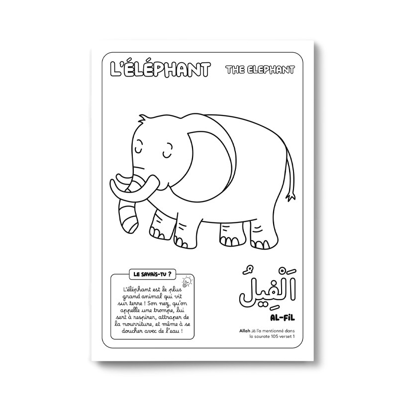 Colorie et apprends : Les 30 animaux cités dans le Coran - DeeniLearn