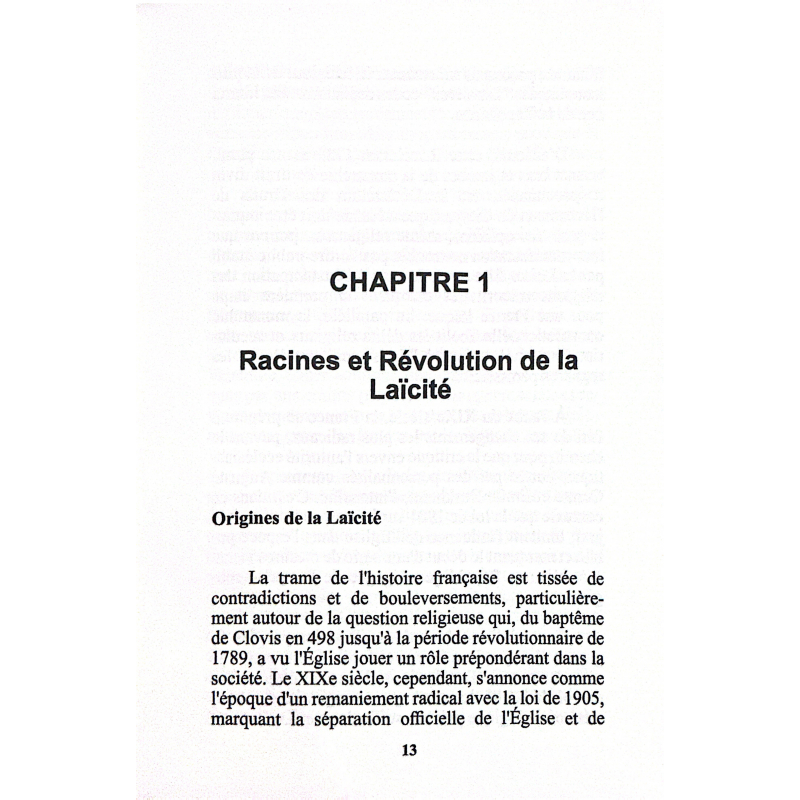 Laïcité et liberté : le défi musulman en France - Jolapeh - Matière grise éditons
