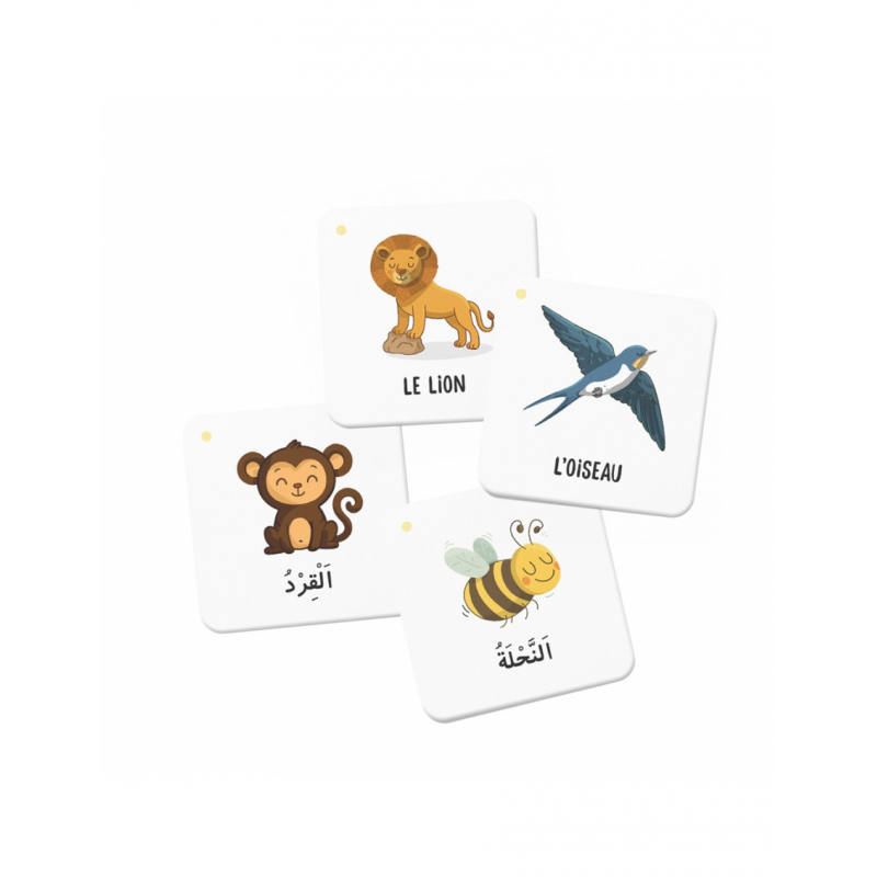 Mémo des animaux du Coran - DeeniLearn